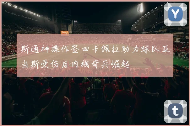 斯通神操作签回卡佩拉助力球队亚当斯受伤后内线奇兵崛起