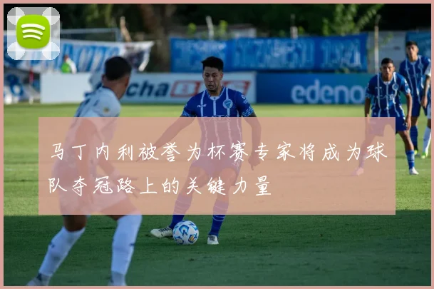马丁内利被誉为杯赛专家将成为球队夺冠路上的关键力量