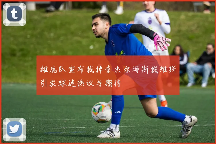 雄鹿队宣布裁掉奈杰尔海斯戴维斯引发球迷热议与期待