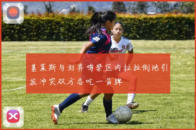 基莱斯与刘弈鸣禁区内拉扯倒地引发冲突双方各吃一黄牌